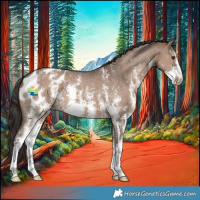 Horse Color:Liver Red Dun Sabino Appaloosa 