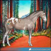 Horse Color:Liver Red Dun Sabino Appaloosa 