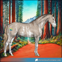 Horse Color:Liver Red Dun Sabino Appaloosa