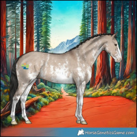 Horse Color:Liver Red Dun Sabino