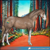 Horse Color:Liver Red Dun Sabino 