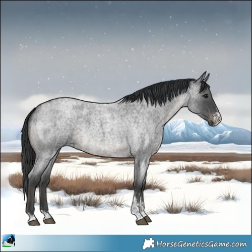 Horse Color:Blue Roan Sabino Rabicano