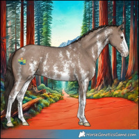 Horse Color:Liver Red Dun Sabino 