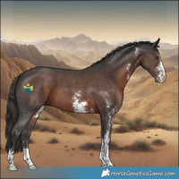 Horse Color:Liver Chestnut Sabino 