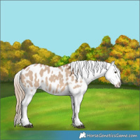 Horse Color:Red Dun Blanket 