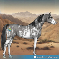 Horse Color:Black Sabino