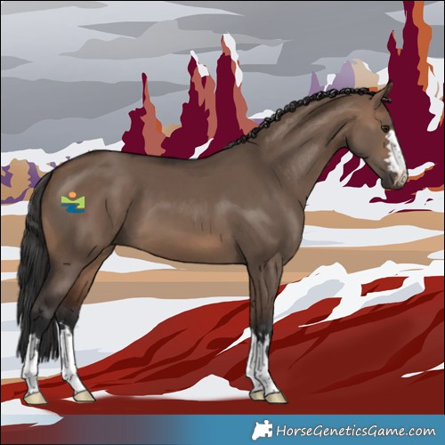 Horse Color:Brown Dun 