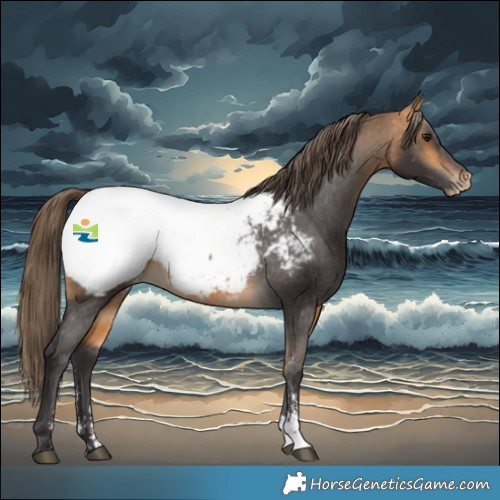 Horse Color:Buckskin Sabino Snowcap 