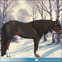 Horse Color:Liver Chestnut 