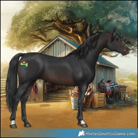 Horse Color:Brown 