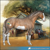 Horse Color:Chocolate Palomino Roan Splash Frame 