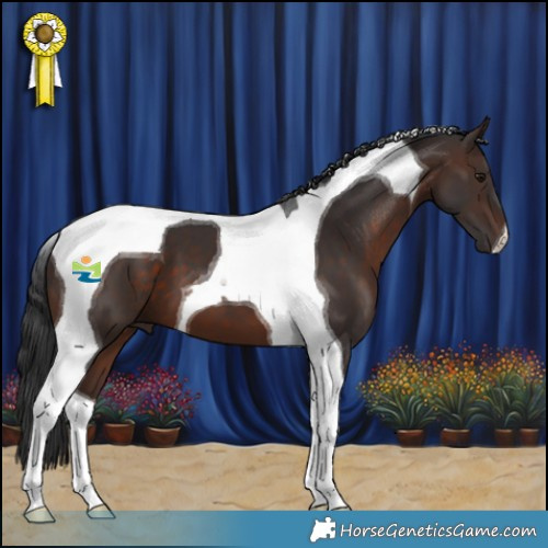Horse Color:Brown Tobiano 