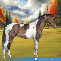 Horse Color:Brown Dun Tobiano Appaloosa Brindle 
