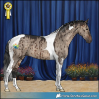 Horse Color:Brown Dun Tobiano Brindle 
