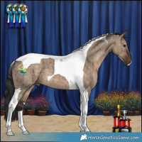 Horse Color:Brown Dun Tobiano Brindle 