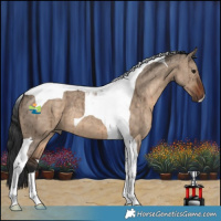 Horse Color:Brown Dun Tobiano Brindle 