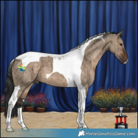 Horse Color:Brown Dun Tobiano Brindle 
