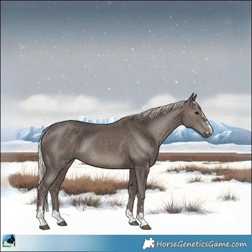 Horse Color:Silver Black Rabicano