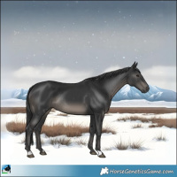 Horse Color:Black Rabicano 