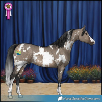 Horse Color:White Spotted Brown Dun 