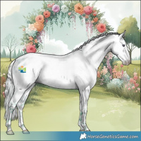 Horse Color:Gray Watercolor White Spotted Silver Buckskin Chinchilla Ice Pearl Dun Sabino Appaloosa 