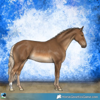 Horse Color:Chocolate Palomino Rabicano 