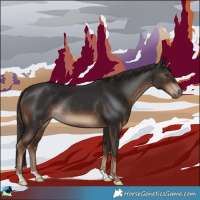 Horse Color:Liver Chestnut Rabicano 