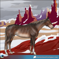 Horse Color:Liver Chestnut Rabicano