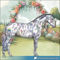 Horse Color:Nacre Watercolor Silver Brown Roan Sabino Appaloosa 