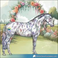 Horse Color:Nacre Watercolor Silver Brown Roan Sabino Near Leopard 