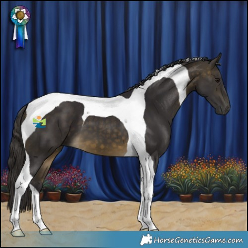 Horse Color:Buckskin Tobiano 