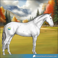Horse Color:Liver Chestnut Sabino 