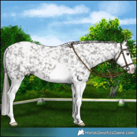 Horse Color:Liver Red Roan Splash Snowflake Varnish