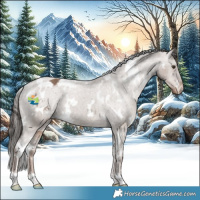 Horse Color:White Spotted Liver Red Dun Appaloosa 