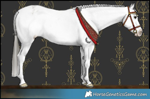 Horse Color:Buckskin Roan Dun Varnish 