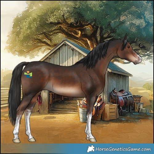 Horse Color:White Spotted Liver Chestnut 