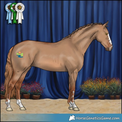 Horse Color:Red Dun 