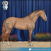 Horse Color:Red Dun 
