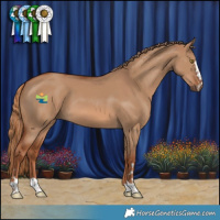 Horse Color:Red Dun 
