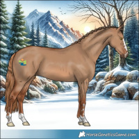 Horse Color:Red Dun 