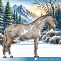 Horse Color:White Spotted Liver Red Dun Appaloosa