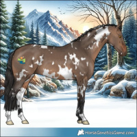 Horse Color:White Spotted Brown Dun 