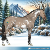 Horse Color:White Spotted Brown Dun 