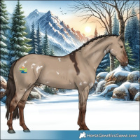 Horse Color:White Spotted Liver Red Dun 
