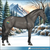 Horse Color:Grullo Appaloosa