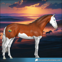 Horse Color:Silver Bay Splash 