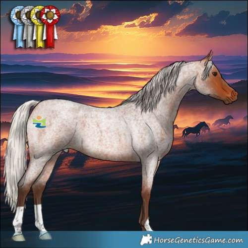 Horse Color:Silver Bay Roan 