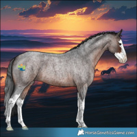 Horse Color:Brown Roan Splash