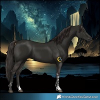 Horse Color:Liver Chestnut Tobiano  and Liver Chestnut 
