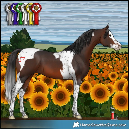 Horse Color:Brown Splash Tobiano 